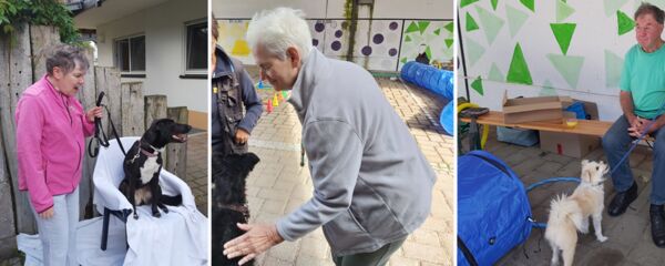 Menschen haben Hunde an der Leine und streicheln sie