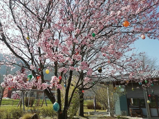 Garten mit blühendem Baum
